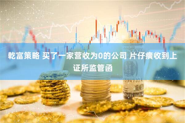 乾富策略 买了一家营收为0的公司 片仔癀收到上证所监管函