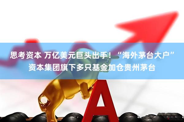 思考资本 万亿美元巨头出手！“海外茅台大户”资本集团旗下多只基金加仓贵州茅台